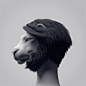 Afro Lion : These are Fur Material tests in modo601