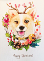 圣诞快乐！~~-vuvuni_水彩,猫咪,狗狗,动物,插画,手绘_涂鸦王国插画