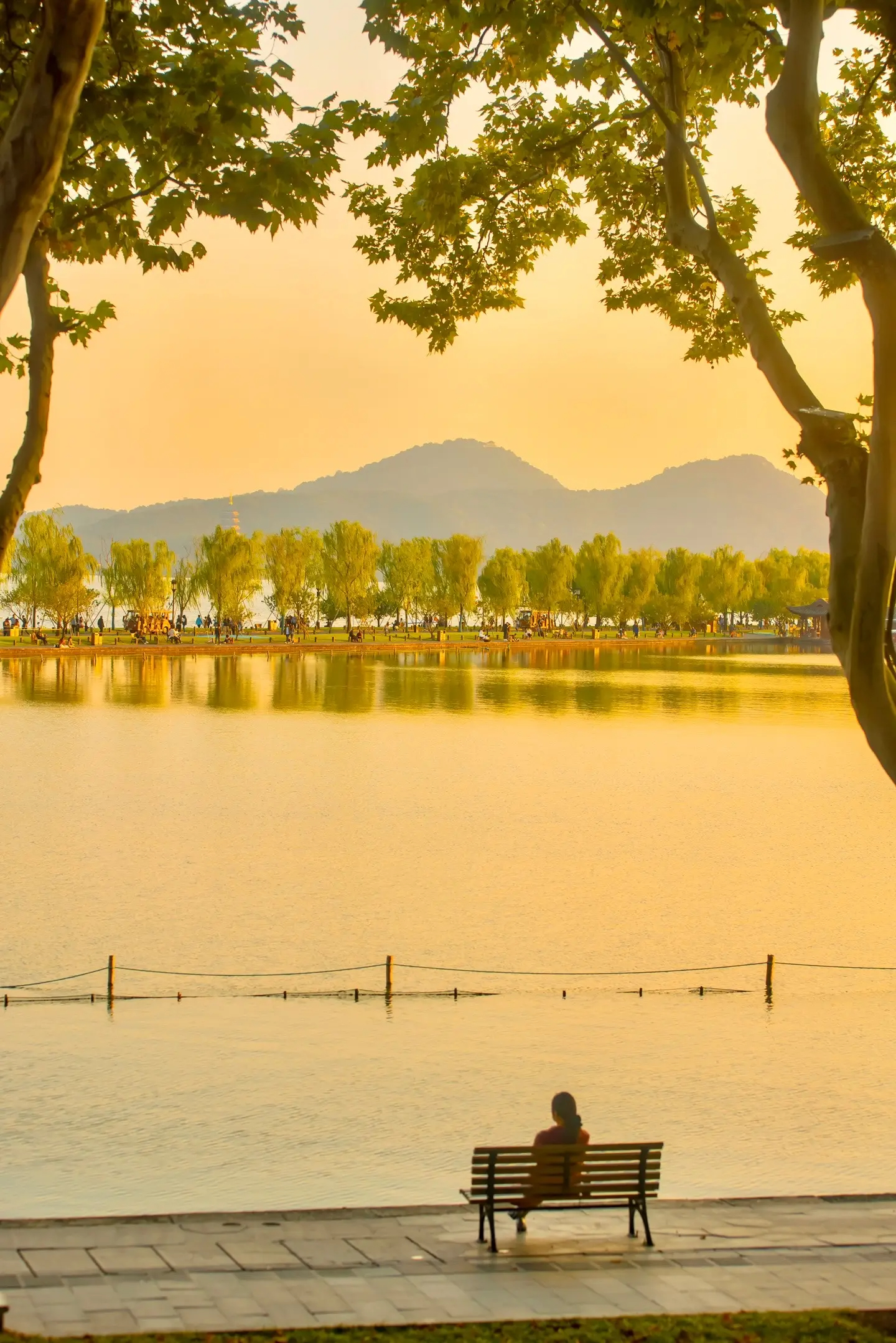 dc1a412f1b6997982c6fdc8d28583c7456a5a2b826f6b6-4VAJd7