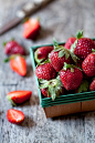 strawberries #赏味期限#