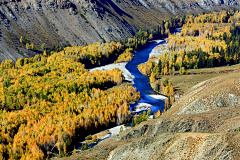 Zjl33875010采集到新疆白哈巴的秋色迷情-