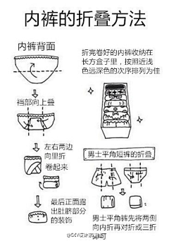 卡蜜尔采集到百科