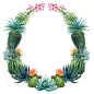 水彩仙人掌插画 植物花环 png元素免扣 wreaths06