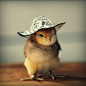 【Julie Persons】（美）• Chicks in Hats