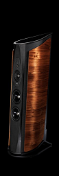 Sonus Faber Aida  http://www.cinenowinternational.com/e/product_image_image_l/000/045/379.jpg