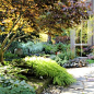 Photo of a contemporary landscaping in Seattle.