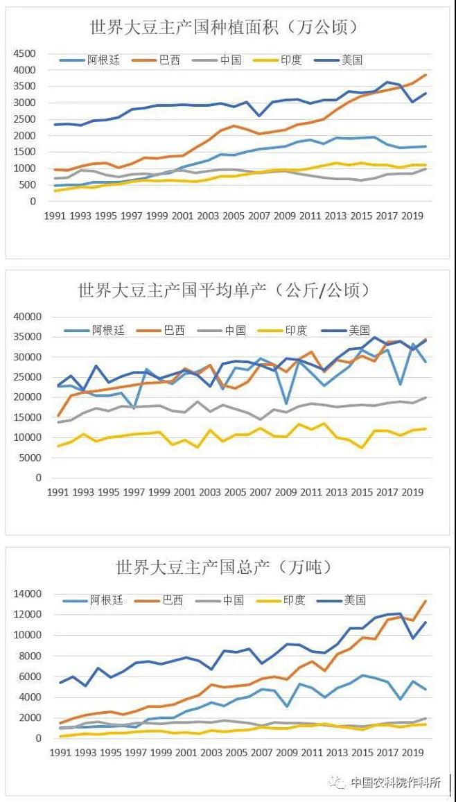 世界大豆生产现状