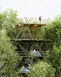 创意竹子建筑设计图集丨异形竹子连接结构/生态绿色教育建筑设计