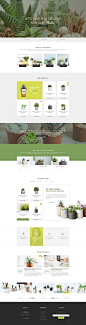Flowie - Delightful PSD Template for Home Decoration on Behance