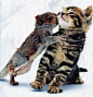 Baby squirrel + kitten = out of control adorableness: Cats, Animals, Friends, Squirrels, Pet, Squirrel Kiss, Adorable, Kittens