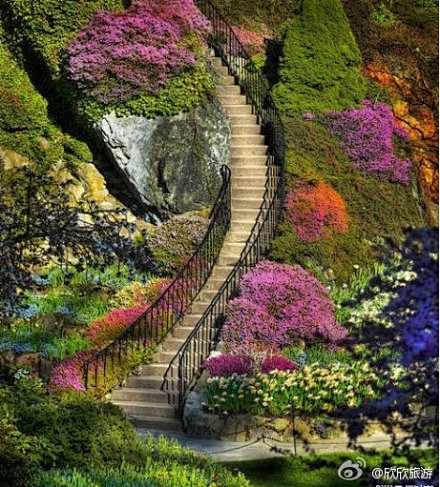世界最美丽的花园——加拿大维多利亚岛闻名...