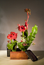 Arrangement from the Chinese Floral Arts Foundation of Taiwan Flower Show at Longwood Gardens