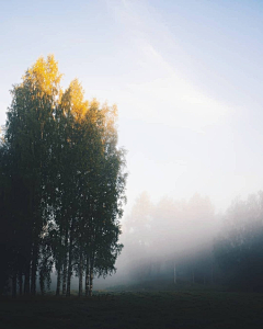 莊寒參先生采集到叽/景