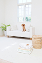沙发,地毯,软垫,室内,住宅房间_511588073_Toy Poodle Sitting On Couch_创意图片_Getty Images China