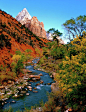 Virgin River and Zion Canyon - Utah  - Ed Riche