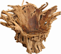 Tree stump chair...: 