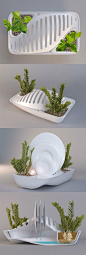 Green Dish Rack save water grow plant. I want this product NOW, and with weddings coming up an amazingly cool gift!: 