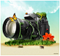 Nikon D300 by ~BraveDesign#采集大赛#