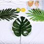 韩国ins风仿真树叶植物热带椰树叶子拍照摄影背景摆拍道具 摄影-淘宝网