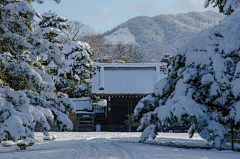 画画的小也采集到自然-风/雨/冰/雪