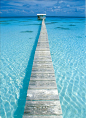 塔希提岛的清澈海水。