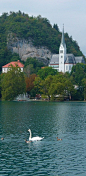  布莱德湖上的圣母升天教堂在斯洛文尼亚西
