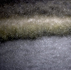 风晴雪雨采集到艺