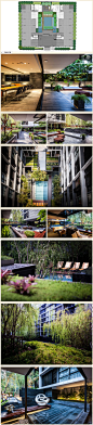 泰国Mode 61公寓花园(Shma作品）
