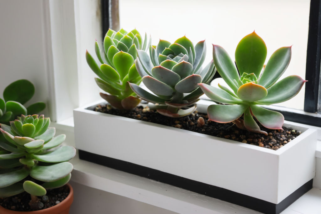 dcfce4a8bdec89cc3170b444e2db5bdf103c2dd8b2e54-DFtsD3