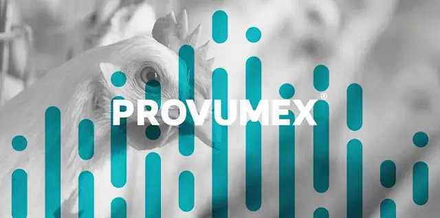 Provumex墨西哥兽药公司品牌形象V...