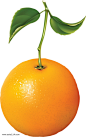 成熟橙子元素
