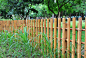 竹子,篱笆,褐色,水平画幅,无人,古老的,草,植物,热带气候,中国