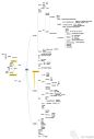 淘宝天猫SEO优化思维导图-Useit 知识库