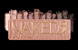 11 20 2013 naked3palette 1