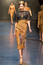 Dolce & Gabbana | Fall 2013 Ready-to-Wear 