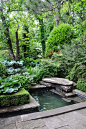 Small Water Feature with Garden Pond