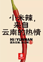 更多内容，可加林逼逼微信：big_man110