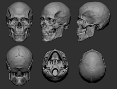 HuDingRen资料库采集到3d