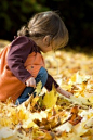 playing in the autumn leaves