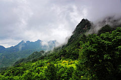 轩林珺采集到高山