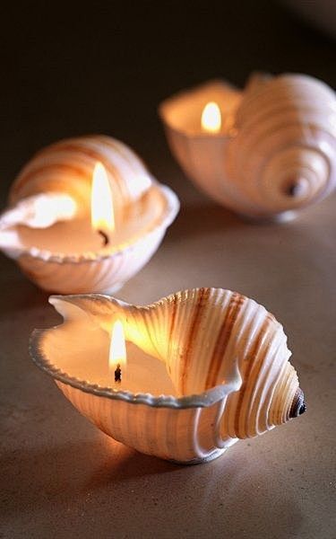 DIY - Sea Shell Cand...