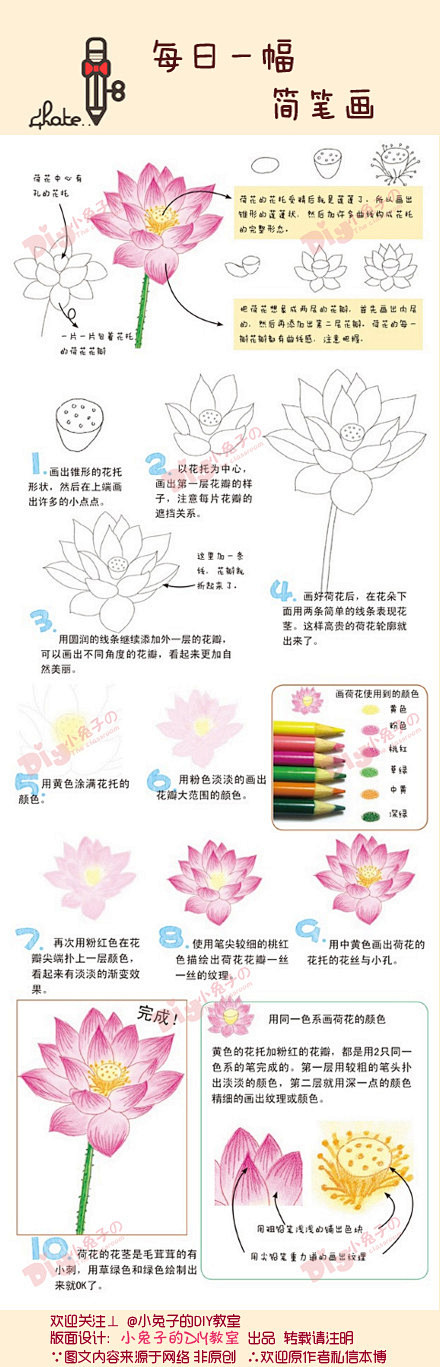 #每日一幅，简笔画#【彩铅莲花】花瓣上的...