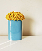 craspedia cluster by floresdelsol on Etsy: 