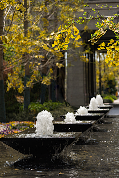 zwang采集到住宅｜水景