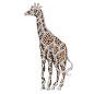 Whimsical Multicolored Diamond Giraffe Brooch