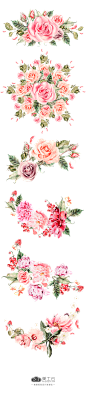 Watercolor-FLOWERS-手绘鲜花3-PNG：