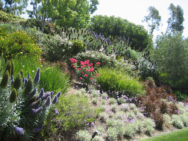 “slope  garden”的图片搜索...