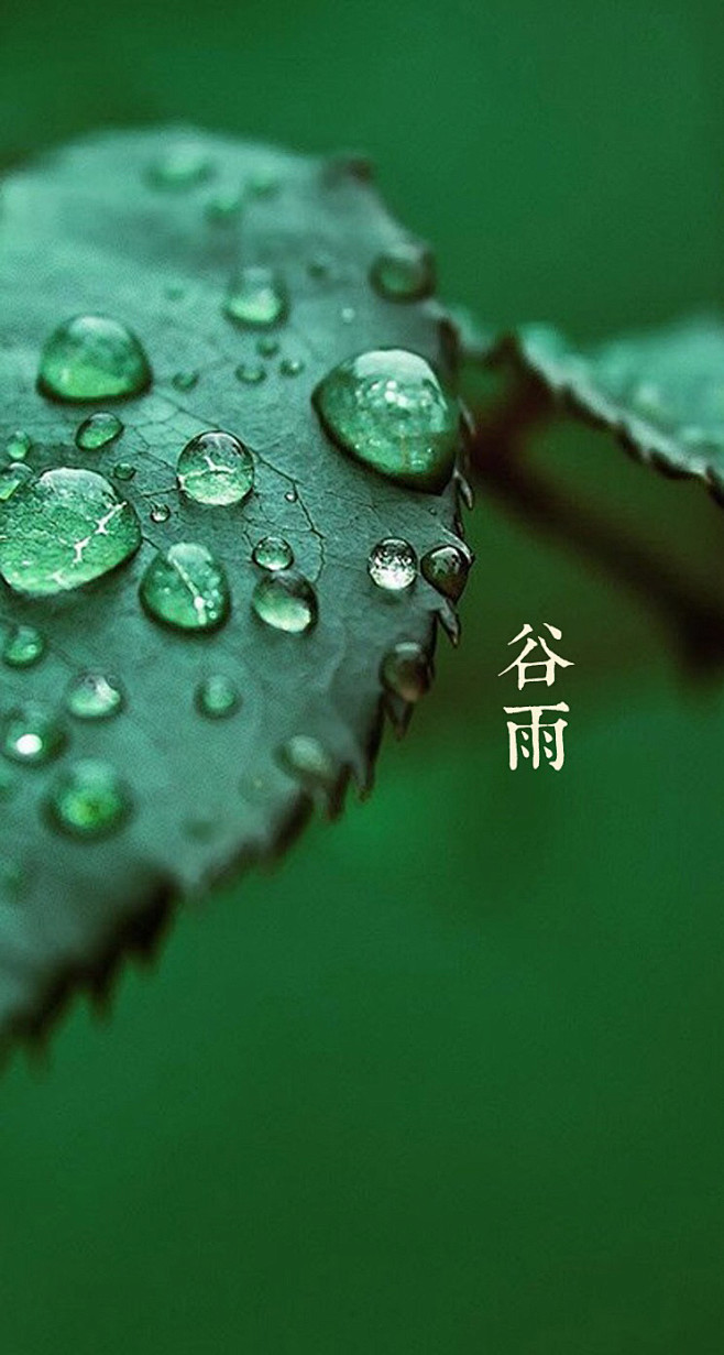 岁月静好，芬芳过往，给时光一份浅浅的回眸...