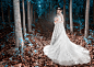 Bride, Fall, Forest, Girl, Model, Mood, Nature, Path, Wedding Dress, White Dress, Woman, Women wallpaper preview