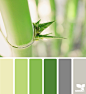 Design Seeds® | find your palette